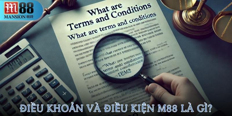 Điều khoản và điều kiện