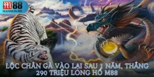 Lộc Chân Gà vào lại sau 1 năm, thắng 290 triệu Long Hổ M88